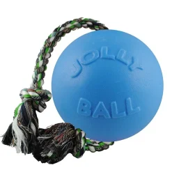 Ryan's Pet Supplies Jolly Pet Romp-n-Roll Blueberry Medium