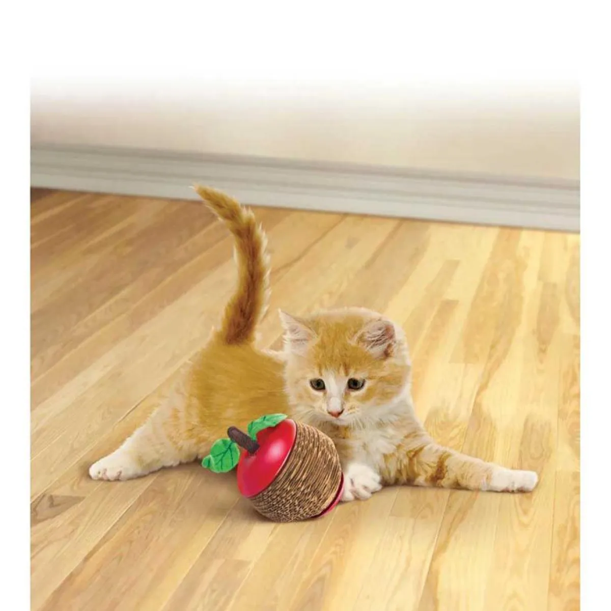 Ryan's Pet Supplies KONG Scratch Apple