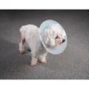 Ryan's Pet Supplies KVP Saf-T-Shield Elizabethan Collar - Extra Small