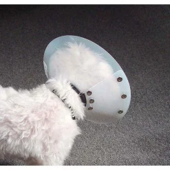 Ryan's Pet Supplies KVP Saf-T-Shield Elizabethan Collar - Large