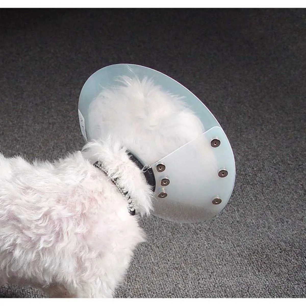 Ryan's Pet Supplies KVP Saf-T-Shield Elizabethan Collar - Small