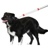 Ryan's Pet Supplies KVP 4' Snarem Pole