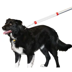 Ryan's Pet Supplies KVP 6' Snarem Pole