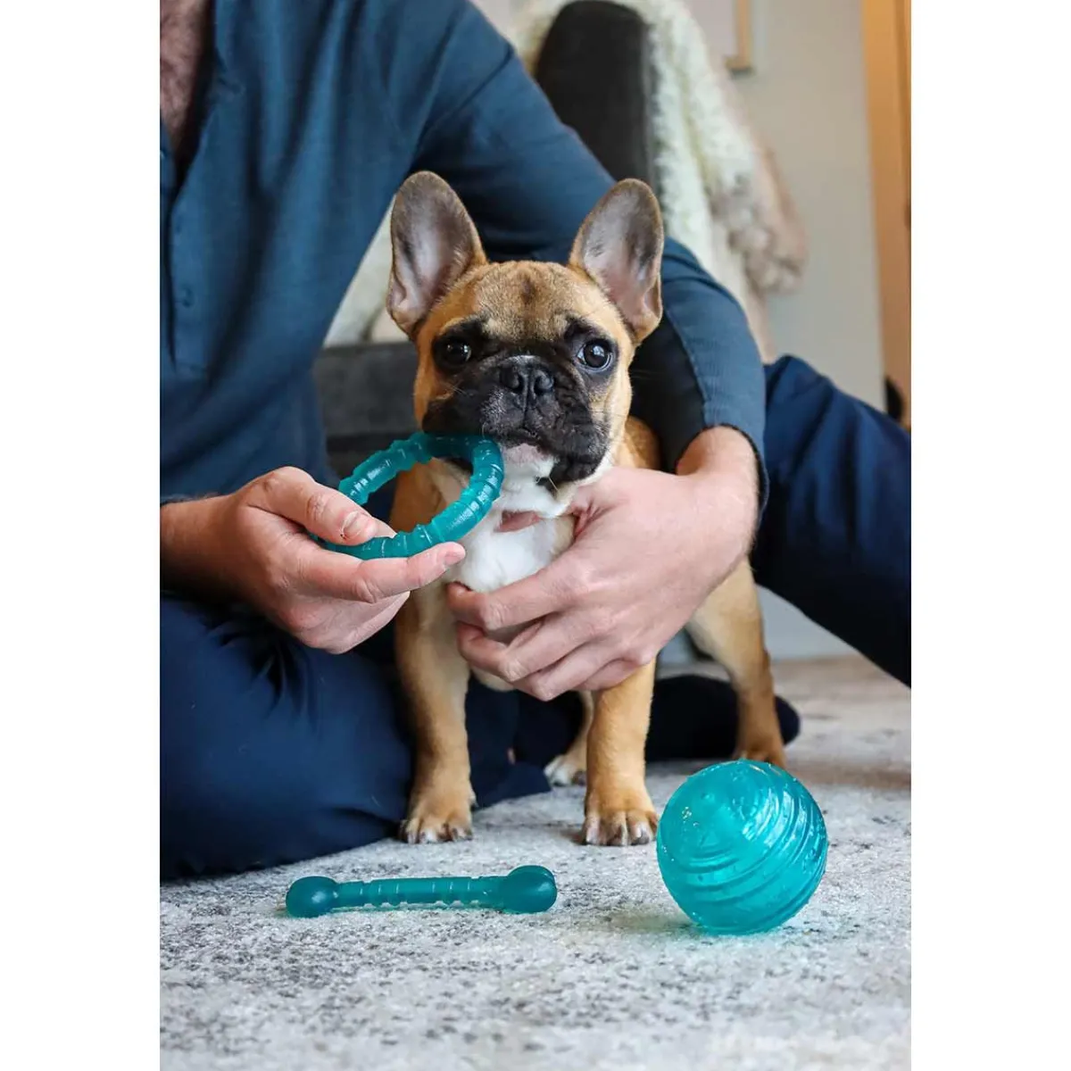 Ryan's Pet Supplies Li'l Pals Antimicrobial 5" Bone