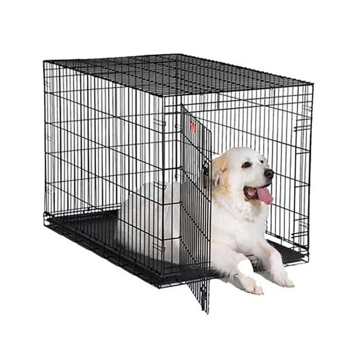 Ryan's Pet Supplies Midwest iCrate Single Door Dog Crate - 48" X 30" X 33"