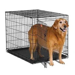 Ryan's Pet Supplies Midwest iCrate Single Door Metal Dog Crate - 42" X 28" X 30"