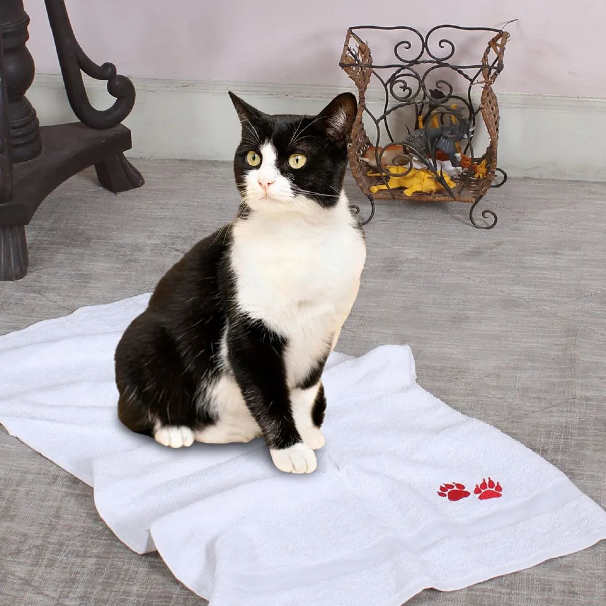 Ryan's Pet Supplies Muddy Paws Towel w/ Paws 20" x 40" - 6 pack