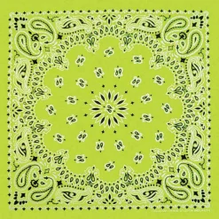 Ryan's Pet Supplies Neon Green Paisley Pet Bandana