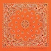 Ryan's Pet Supplies Neon Orange Paisley Pet Bandana