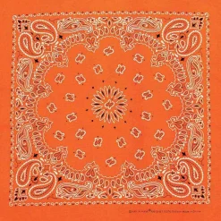 Ryan's Pet Supplies Neon Orange Paisley Pet Bandana