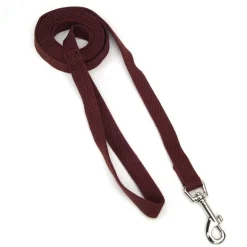 Ryan's Pet Supplies New Earth Soy Lead 5/8" x 6'
