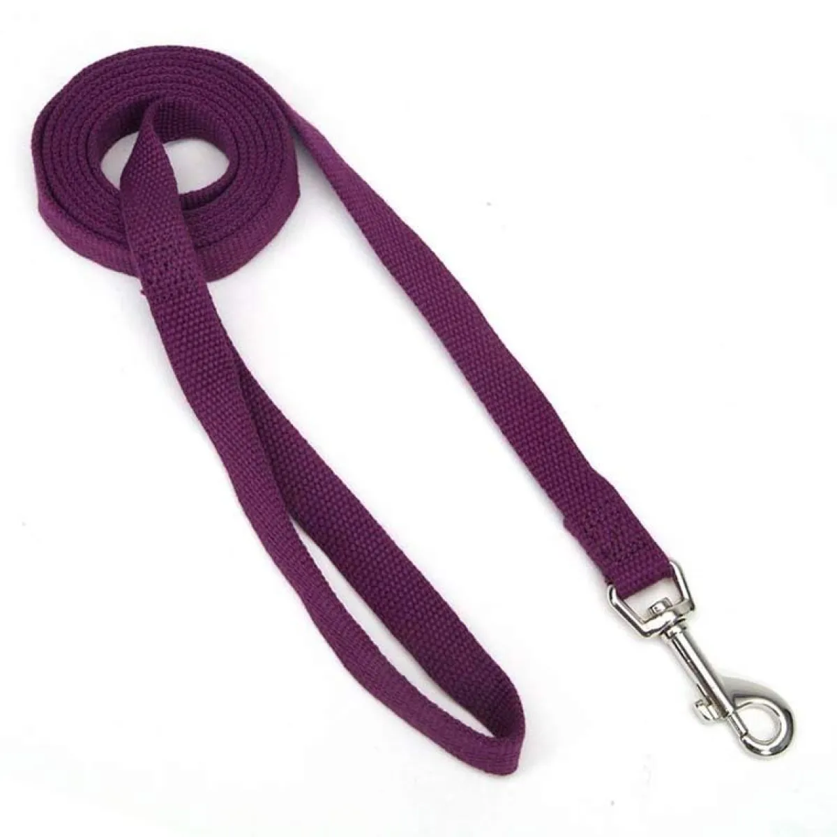Ryan's Pet Supplies New Earth Soy Lead 5/8" x 6'