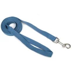Ryan's Pet Supplies New Earth Soy Lead 5/8" x 6'