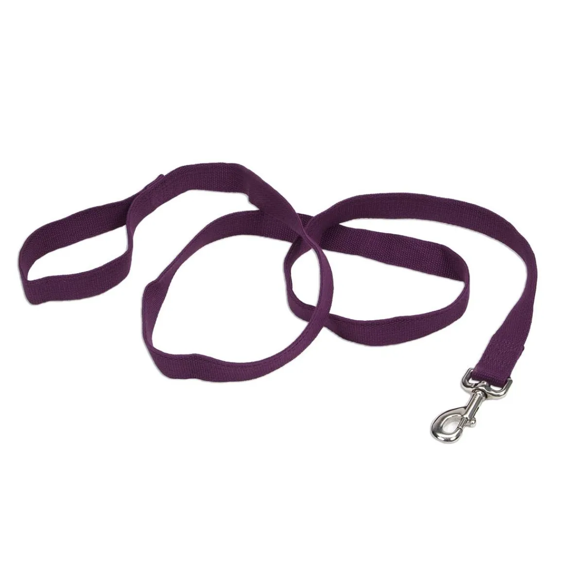 Ryan's Pet Supplies New Earth Soy Long Lead 1" X 6'