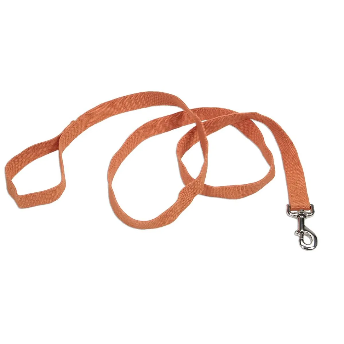 Ryan's Pet Supplies New Earth Soy Long Lead 1" X 6'