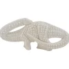 Ryan's Pet Supplies Nylabone Dental Chew Dinosaurs