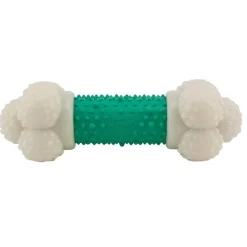 Ryan's Pet Supplies Nylabone DoubleAction Chew Bone Souper