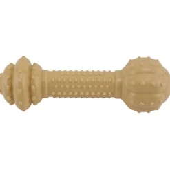 Ryan's Pet Supplies Nylabone DuraChew Barbell Large
