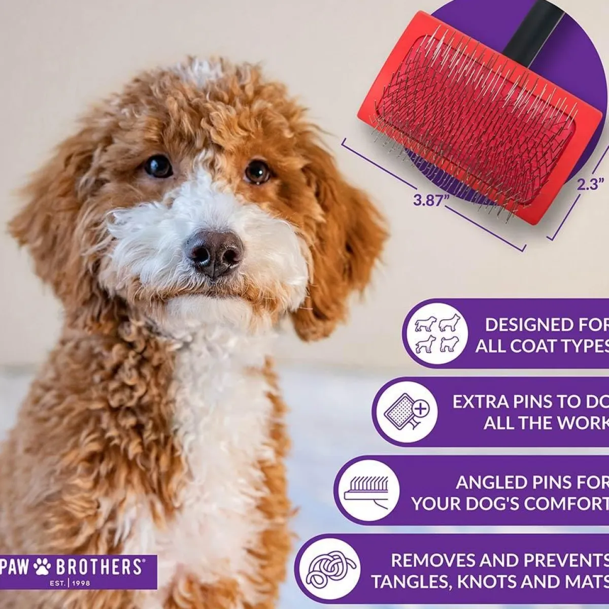 Ryan's Pet Supplies Paw Brothers Big Paw Slicker