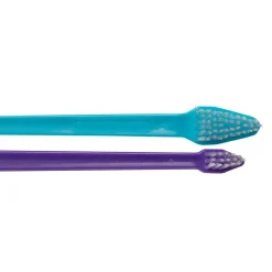 Ryan's Pet Supplies Paw Brothers Dual-End Toothbrush 50 Count