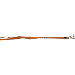 Ryan's Pet Supplies Paw Brothers Professional Slip-Style Fashion Grooming Loop Orange