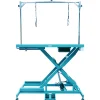 Ryan's Pet Supplies Paw Brothers Pro Low-Low Super Electric Grooming Table - Teal