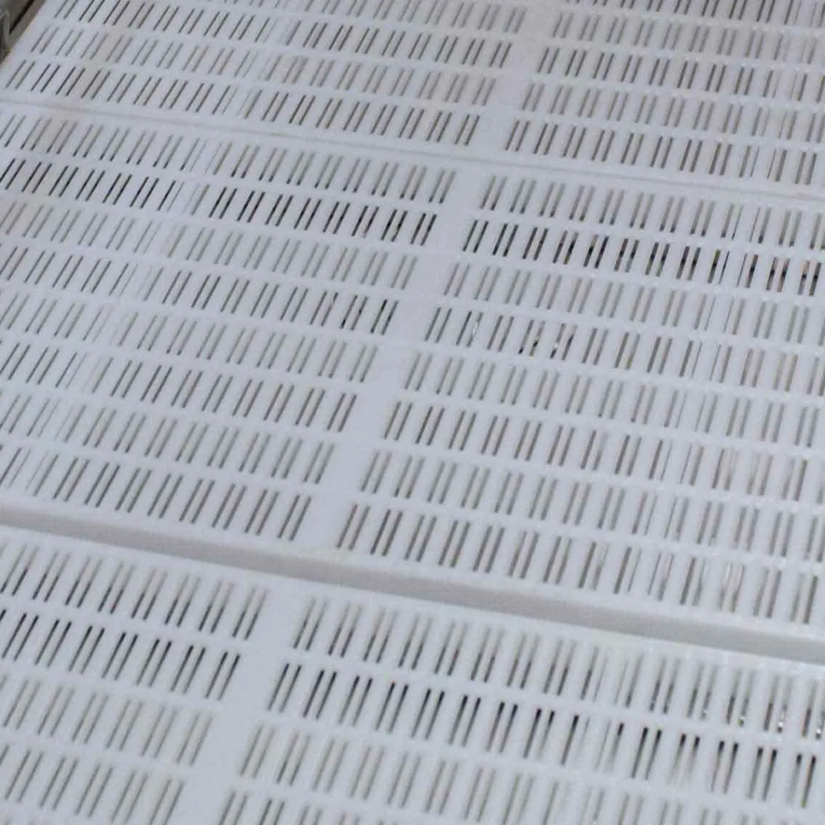 Ryan's Pet Supplies Paw Brothers 36" Tub Floor Grid
