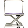 Ryan's Pet Supplies Paw Brothers Super Low-Low Electric Grooming Table