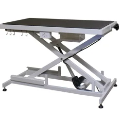 Ryan's Pet Supplies Paw Brothers Super Low-Low Electric Grooming Table