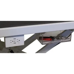 Ryan's Pet Supplies Paw Brothers Super Low-Low Electric Grooming Table