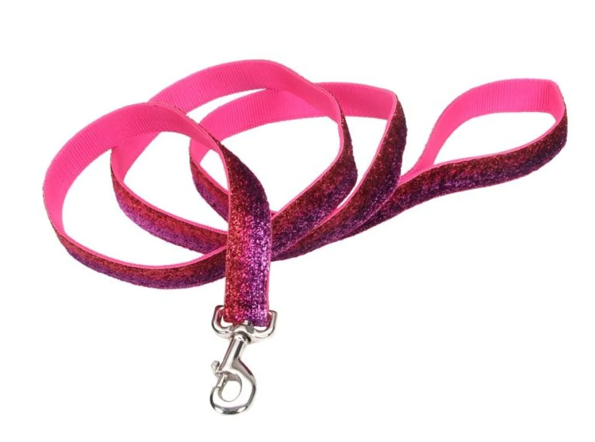 Ryan's Pet Supplies Pet Attire Sparkles Leash 1" X 6'