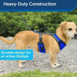 Ryan's Pet Supplies Petsafe EasySport Quick-Snap Reflective Harness for Dogs
