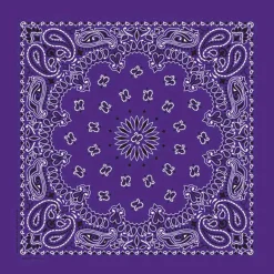 Ryan's Pet Supplies Purple Paisley Pet Bandana