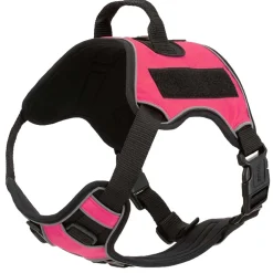 Ryan's Pet Supplies Quest Multipurpose Dog Harness Size XS 18"-22"