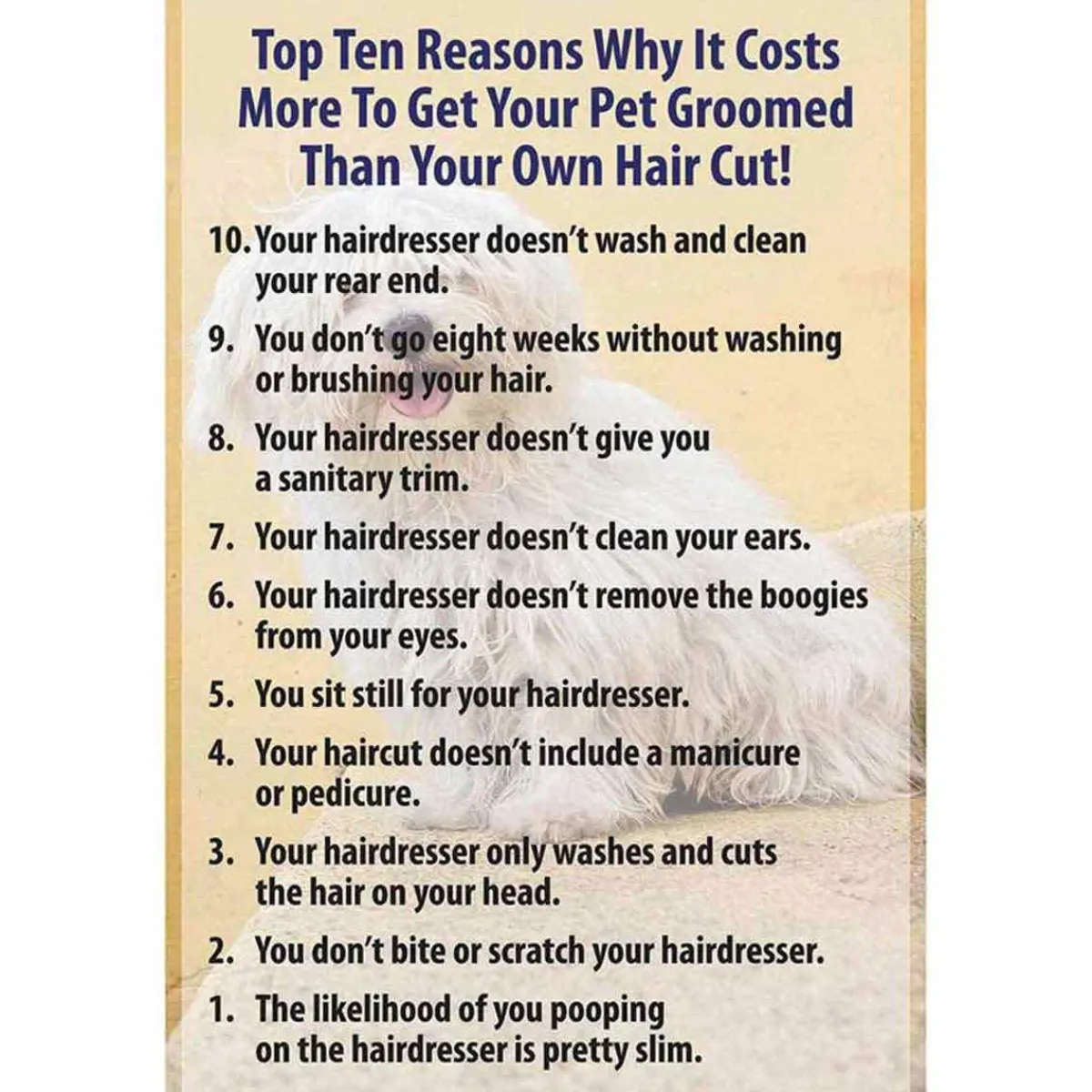 Ryan's Pet Supplies 10 Reasons Poster 11 X 17 W/ Mat Frame