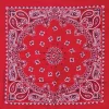 Ryan's Pet Supplies Red Paisley Pet Bandana