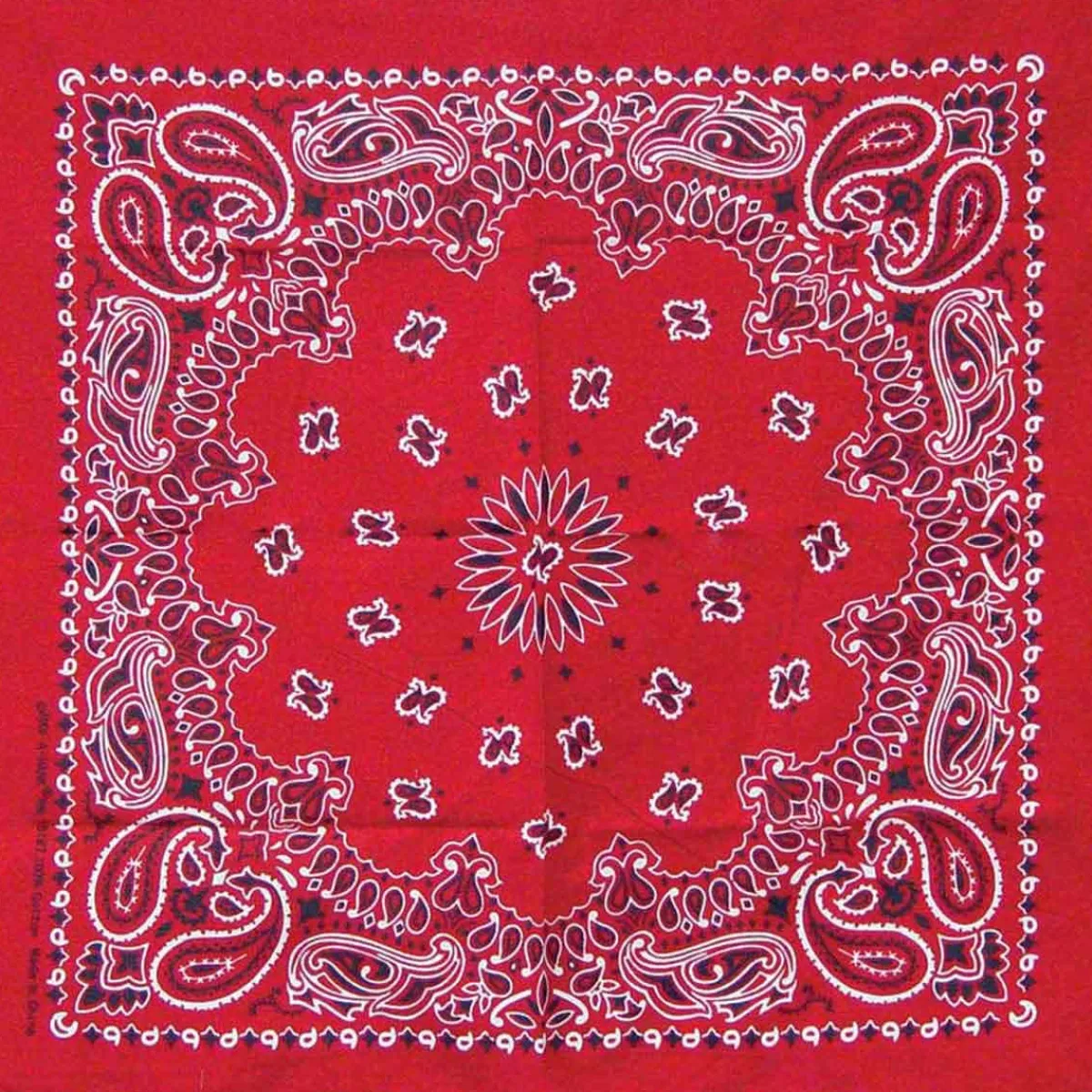 Ryan's Pet Supplies Red Paisley Pet Bandana