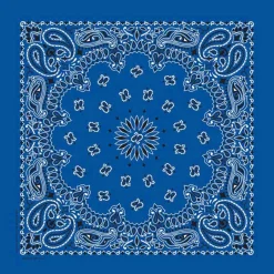 Ryan's Pet Supplies Royal Paisley Dog Bandana