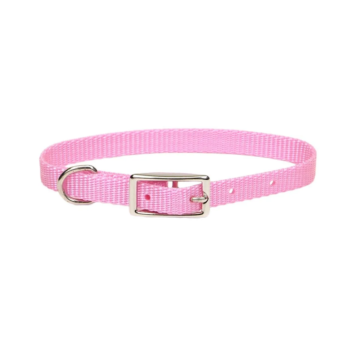 Ryan's Pet Supplies Small Dog Nylon Collars 3/8"