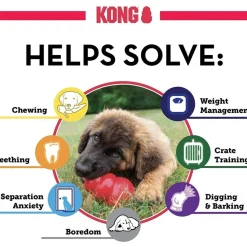 Ryan's Pet Supplies Small KONG® Extreme 3"