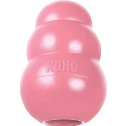 Ryan's Pet Supplies Small Puppy KONG