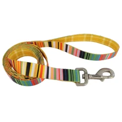 Ryan's Pet Supplies Sublime Dog Leash 1"x 6'