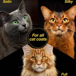 Ryan's Pet Supplies Top Cat Clarifying Cat Shampoo