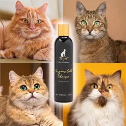 Ryan's Pet Supplies Top Cat Gorgeous Gold Shampoo
