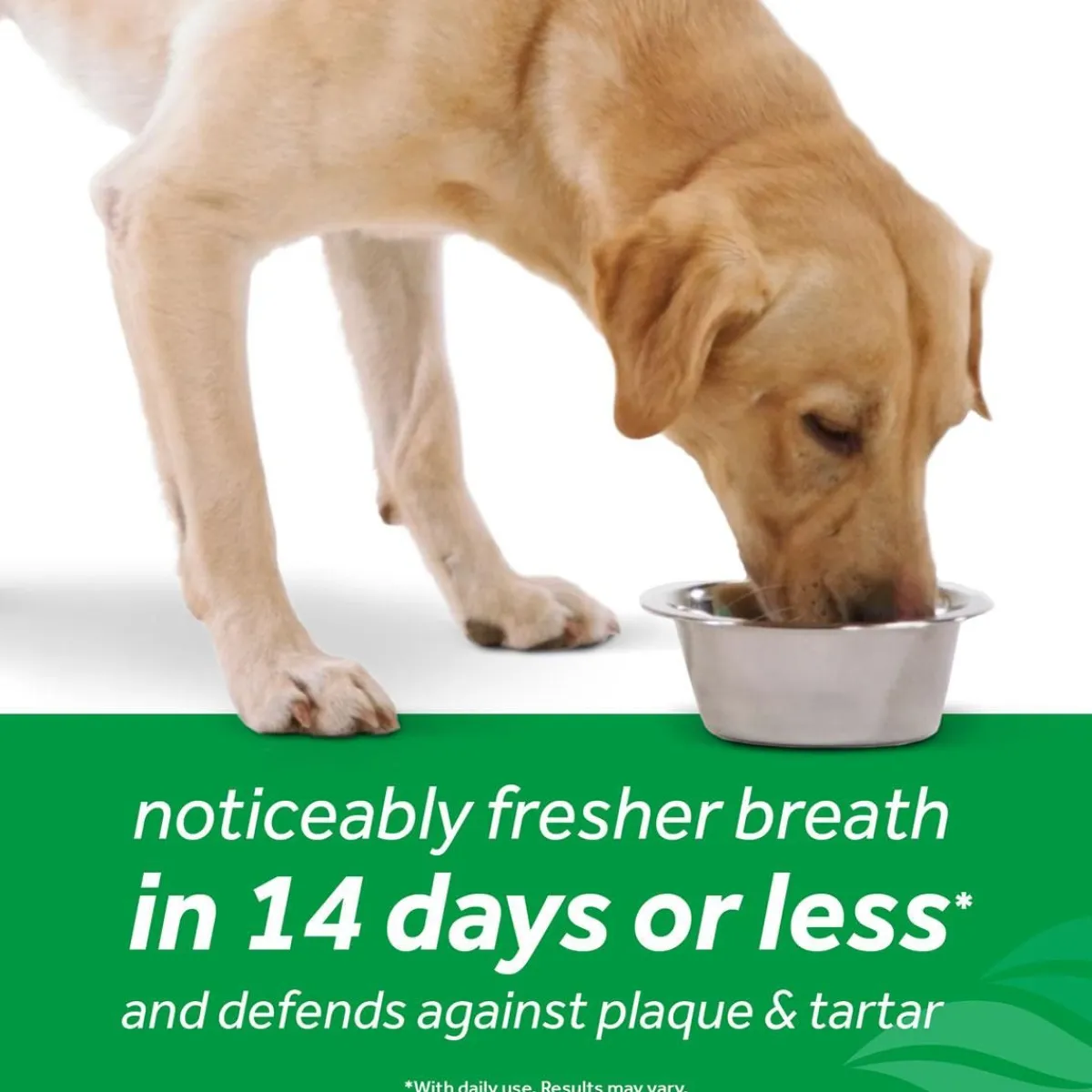 Ryan's Pet Supplies Tropiclean Dental Health Water Additive For Dogs (16oz)