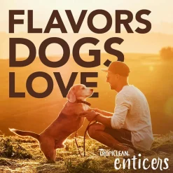Ryan's Pet Supplies Tropiclean Enticers Teeth Cleaning Gel 2 oz