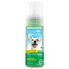 Ryan's Pet Supplies Tropiclean Fresh Breath Oral Care Fresh Mint Foam 4.5 oz