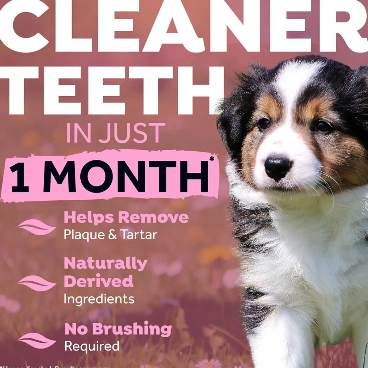 Ryan's Pet Supplies Tropiclean Oral Care Clean Teeth Gel For Puppies (2oz)