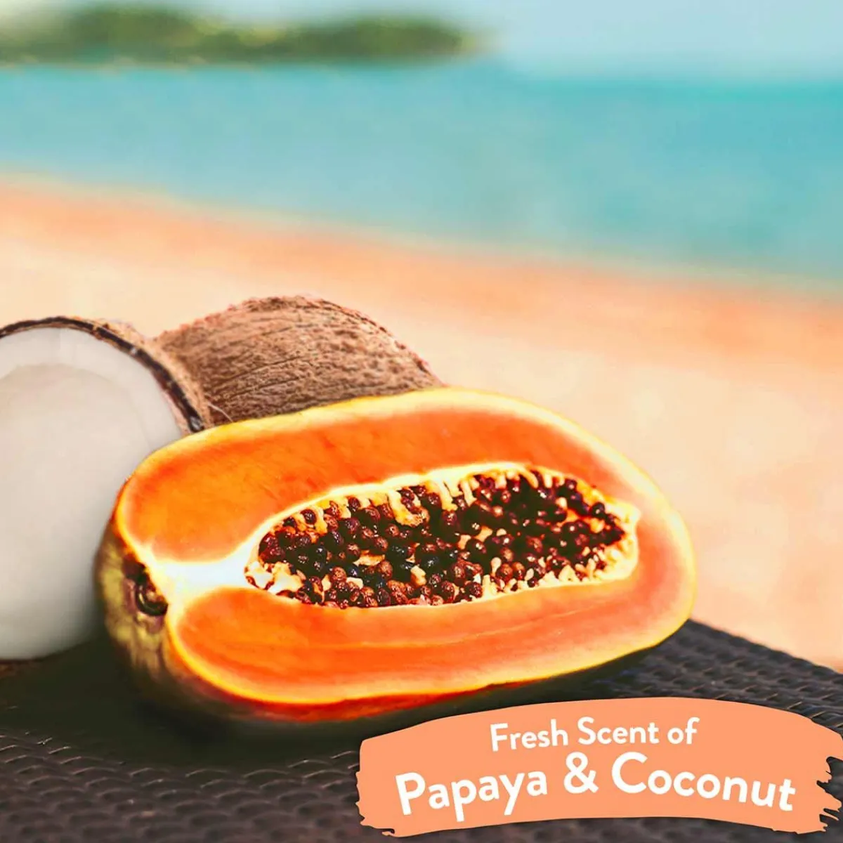 Ryan's Pet Supplies Tropiclean Papaya & Coconut Luxury 2-in-1 Pet Wipes