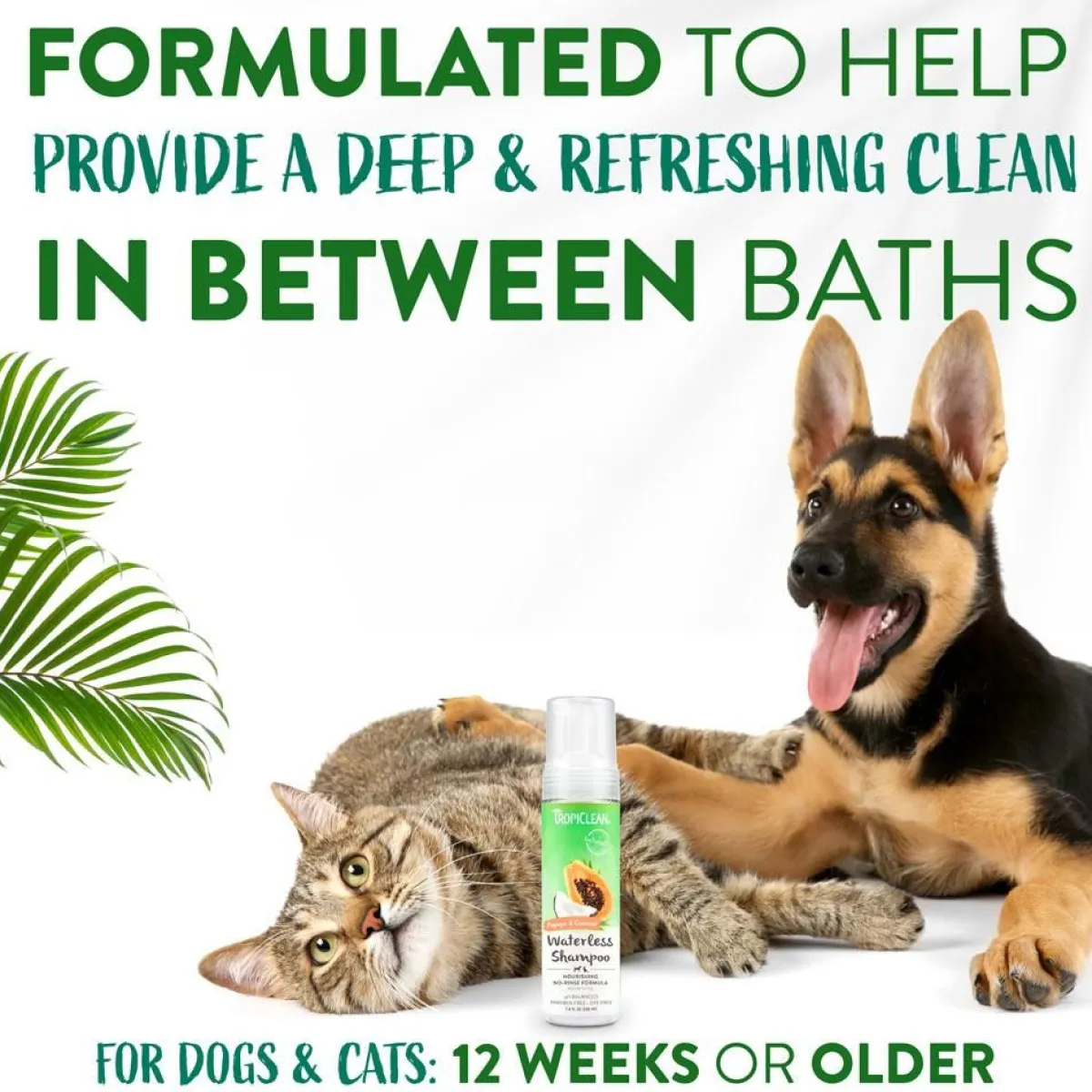 Ryan's Pet Supplies TropiClean Watermelon Waterless Shampoo - 7.4 oz